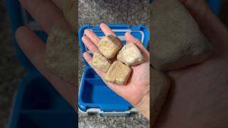 Packing School Lunch *ONLY CANDY ROCKS* #shorts