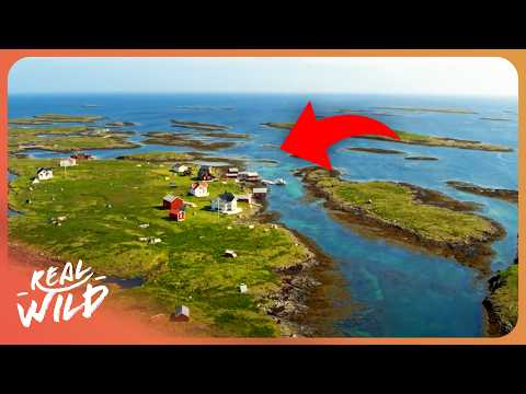 Inside The Most Remote Conservation Island in Norway documentary thumbnail