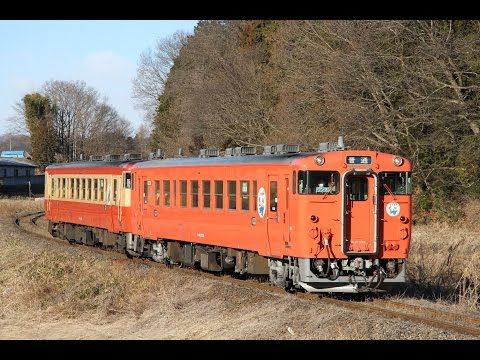 キハ40 タラコ+ツートンのダブルコンビ。（烏山線）