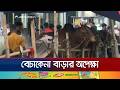ক্রেতার অপেক্ষায় খুলনা শহরের একমাত্র হাট; দ্রুতই জমে ওঠার আশা | Khulna Cow Hat | Jamuna TV