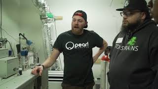 Mac & Shak TV Tours (Pearl Extracts)
