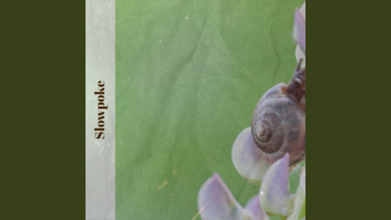 Treat Her Like A Lady 