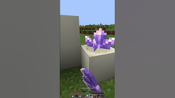 Minecraft Mutant wolf #minecraft #shorts