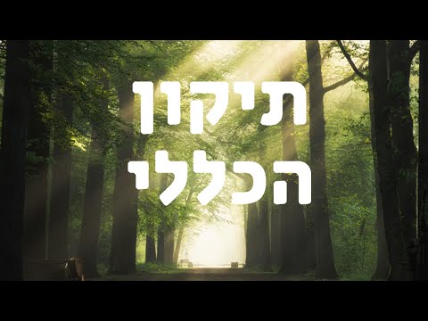 תיקון הכללי בשפה ברורה ונעימה בפחות מ20 דקות 