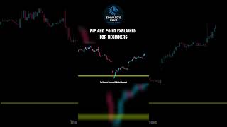 Pip and Point Explained for Beginners
