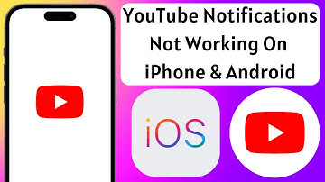 How to Fix YouTube Notifications Not Working on iPhone and Android Solved