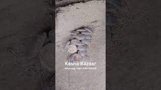 কাঁসা গলানোর প্রাচীন মুষ পদ্ধতি! | Traditional Kansa Melting in Mosh Furnace | Kasha Bazaar