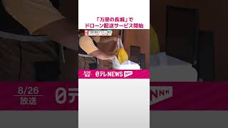 【万里の長城】ドローン配送サービス開始  中国  #shorts
