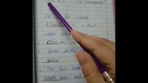 CLASS 3   AUGUST   SCIENCE   LECTURE 5