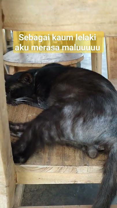 Kaumku
