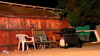 Chris Lopez Backyardness