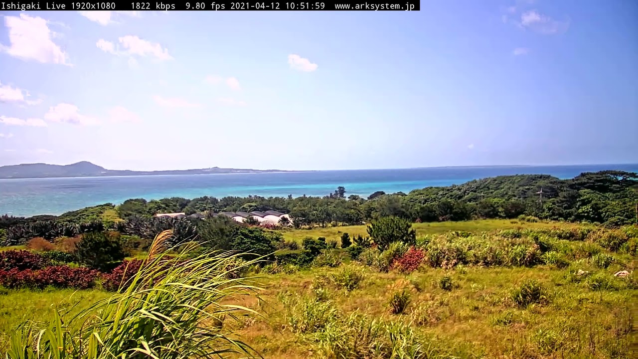 ARKSYSTEMアークシステム のライブ配信