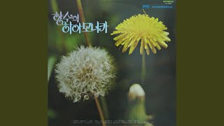 하얀 손수건