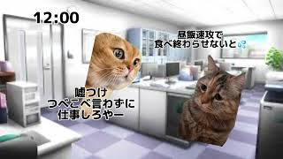 副業社会人の1日（猫マニ、ネコミーム）