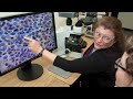 FSIS: Ensuring Food Safety