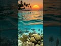 Tropical Ocean Sunset &amp; Coral Reef 4K Dolby Vision – Relaxing Sea &amp; Underwater Life #4k #nature