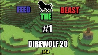 FTB Direwolf 20 [1.6.4]  Ep 1. DESIGN WORK! [Commentary]