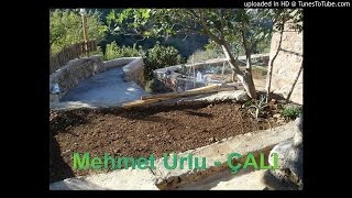 Mehmet Urlu - Çali Resimi