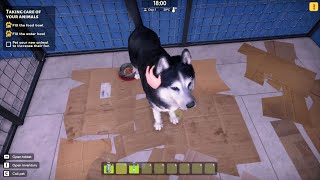 Let's Play ANIMAL SHELTER 2 SIMULATOR! Is it fun Gameplay DEMO 2025