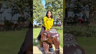 Lets Sit On An Elephant And Fly