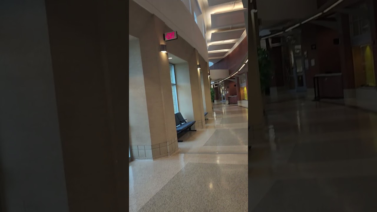 why STEVE JOBS AND HIS PARTNER FOR CREATION