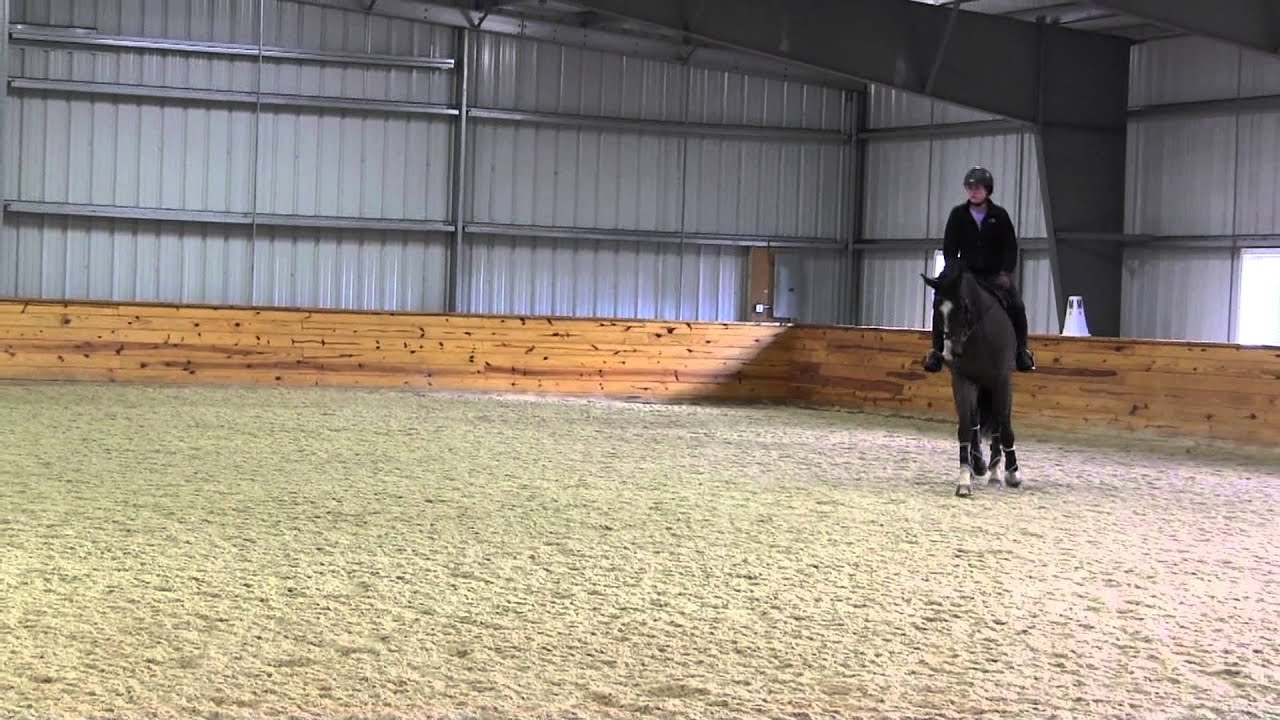 OTTB for Sale Corey Flatwork at Tebogo YouTube