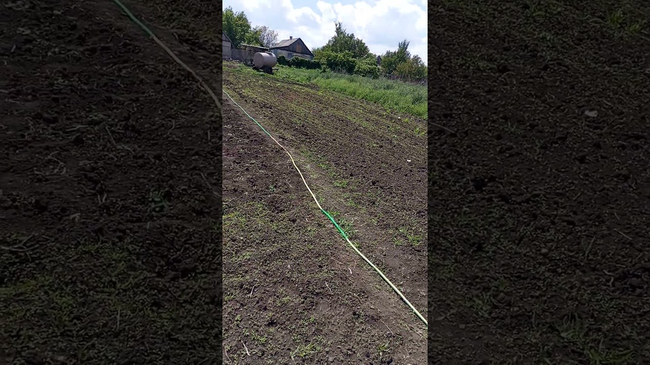 наглядный пример как работает почвенный гебецид