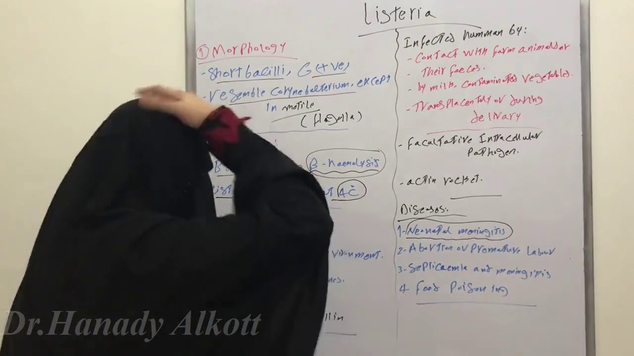 👶👼Listeria.monocytogenes🤰🤱