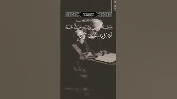 سورة الاحقاف | الشيخ عبد الباسط عبد الصمد