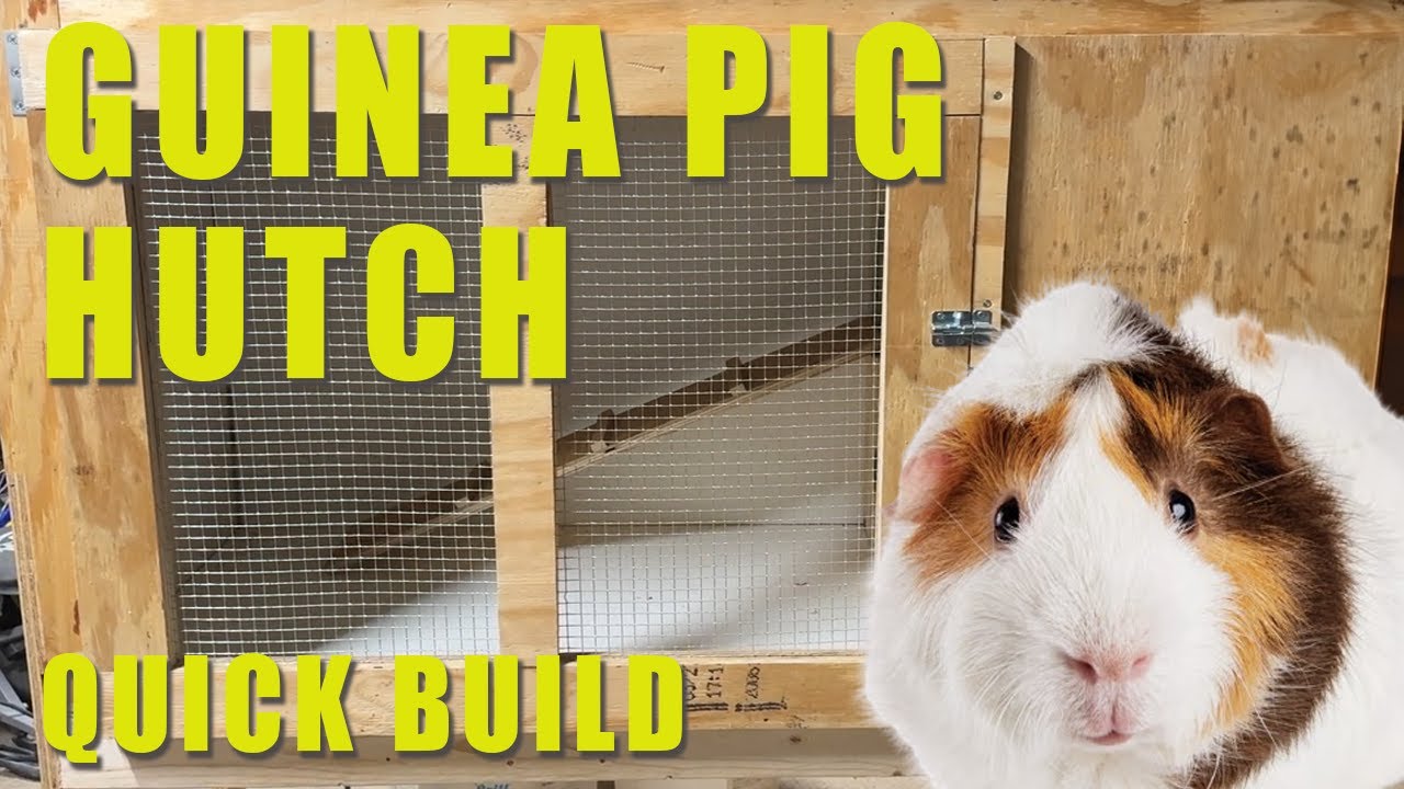 Ultimate Guinea Pig Hutch Build: Step-by-Step DIY