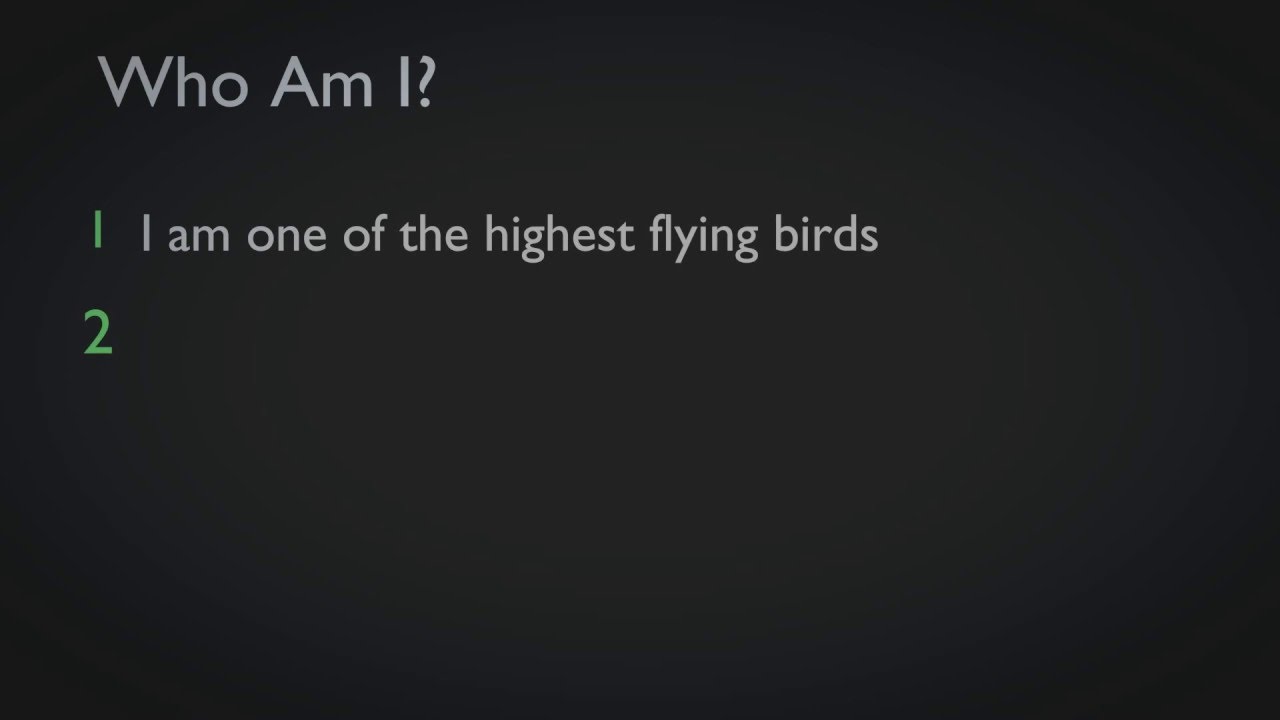education film Who Am I - Birds - 6 - Educational Videos