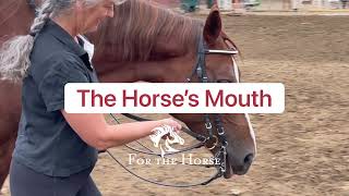 How To Have A Soft Horse Mouth When Riding screenshot 2