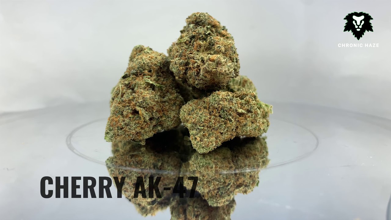 Chronic Haze - Cherry AK 47