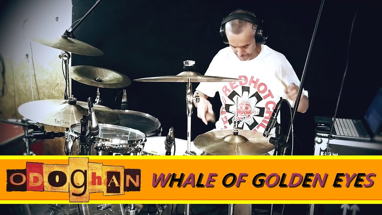 WHALE OF GOLDEN EYES - ODOGHAN (DRUM/BATERIA PLAYTHROUGH) 