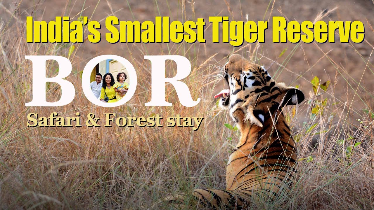 What Is The Smallest Tiger Reserve In India