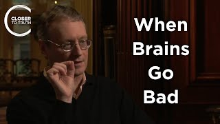 Patrick McNamara - When Brains Go Bad