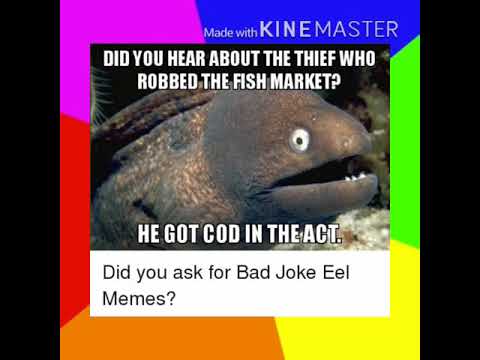 most-popular-bad-joke-eel-memes-compilation-|-bad-joke-eel-memes