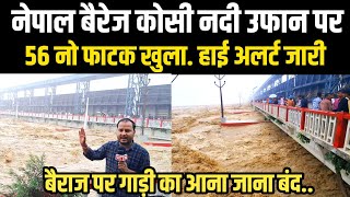 नेपाल बैरेज कोसी नदी उफान पर 56 नो फाटक खोला गया 5 लाख क्यूसेक पानी हुआ पार हाई अलर्ट जारी देखिए