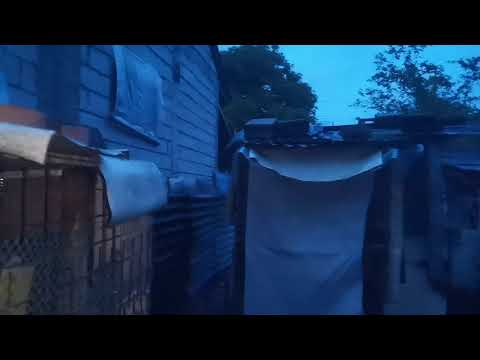 Binagyo mga kalapati ko!😱 