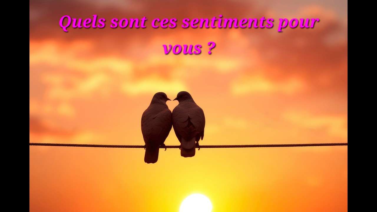 Quels sont ces sentiments pour vous ?