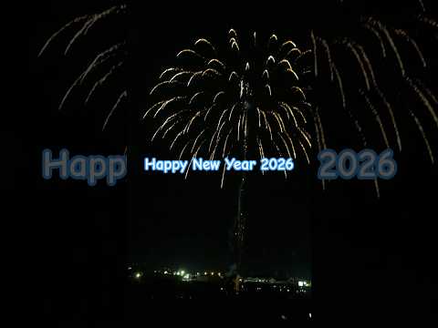 Happy New Year 2026 Armidale Fire Works Trendingshorts Australiadiaries Travel Auswide 