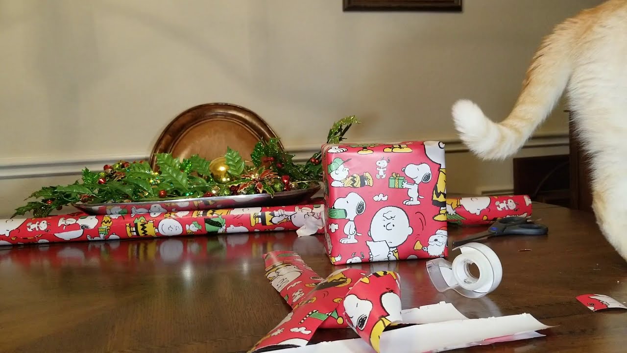 Gift Wrapping with Cats: Wrapping Christmas Presents with Cats