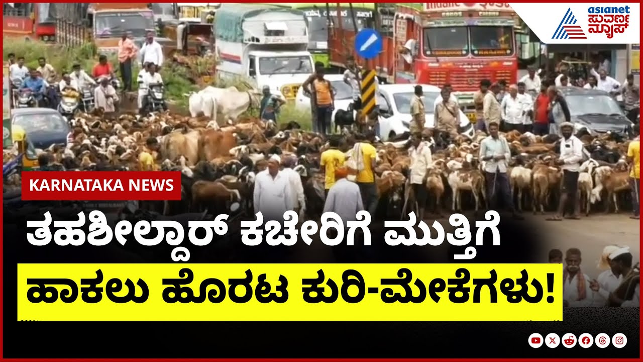 Belagavi; 5 ಸಾವಿರ ಕುರಿ-ಮೇಕೆಗಳಿಂದ ರಸ್ತೆ ತಡೆ; ಬೃಹತ್ ಪ್ರತಿಭಟನೆ | Hukkeri Shepherds Protest