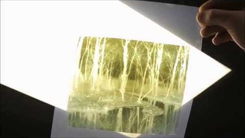 Introduction to Digital Negative Making for Historic Processes