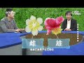 《透视新科技》 20231126 甜香四溢话猕猴桃|CCTV科教