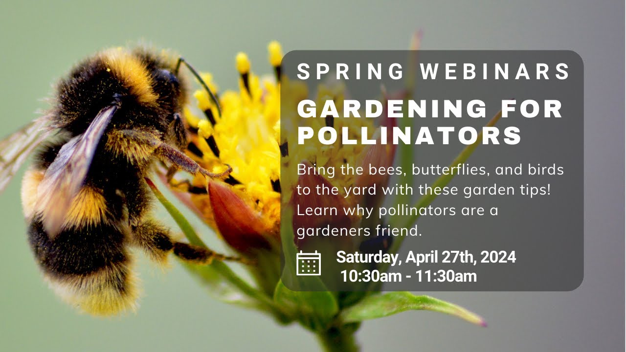 Gardening for Pollinators