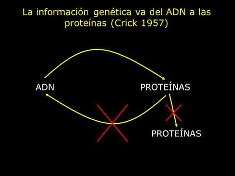 Vídeo: Incorporación De Redes Genéticas En Estudios De Asociación De Casos Y Controles Con Datos De Metilación De ADN De Alta Dimensión