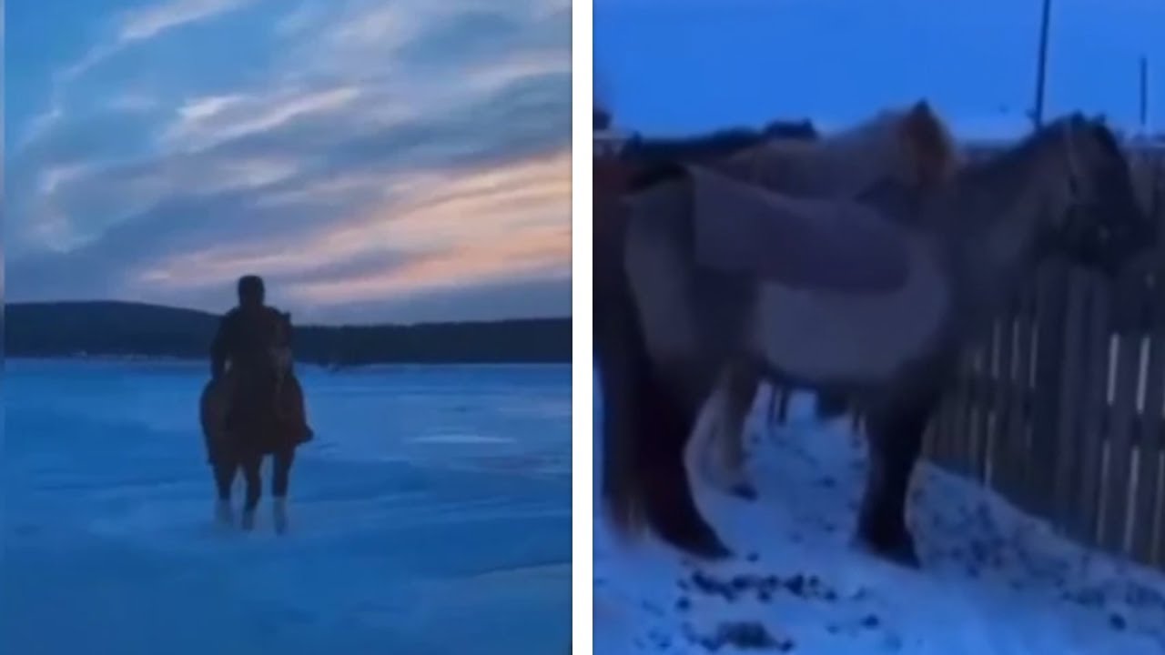 Якутские дети добираются в школу на лошадях