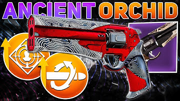 Is Ancient Gospel Worth Crafting? (REVIEW) | Destiny 2 Revenant