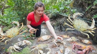 Catch A Lot Of Crab In Forest Goes To Market Sell  Fertilize corn plants | My Bushcraft / Nhất